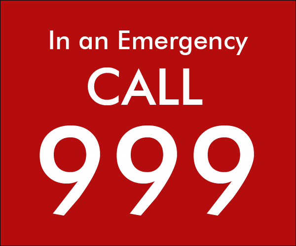 logo emergency call 999